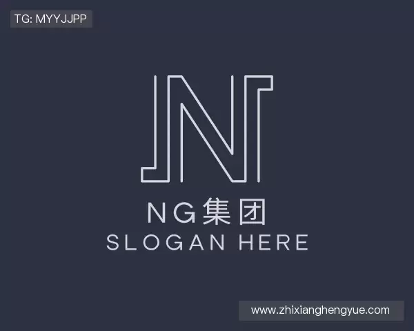 解读ng集团